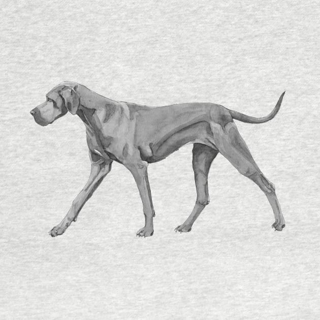 Great Dane Blue by doggyshop